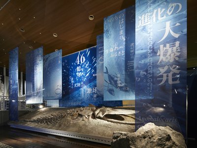 🧬 생명의 바다 과학관(가마고리시 세이메이노우미 카가쿠칸) 이미지 2